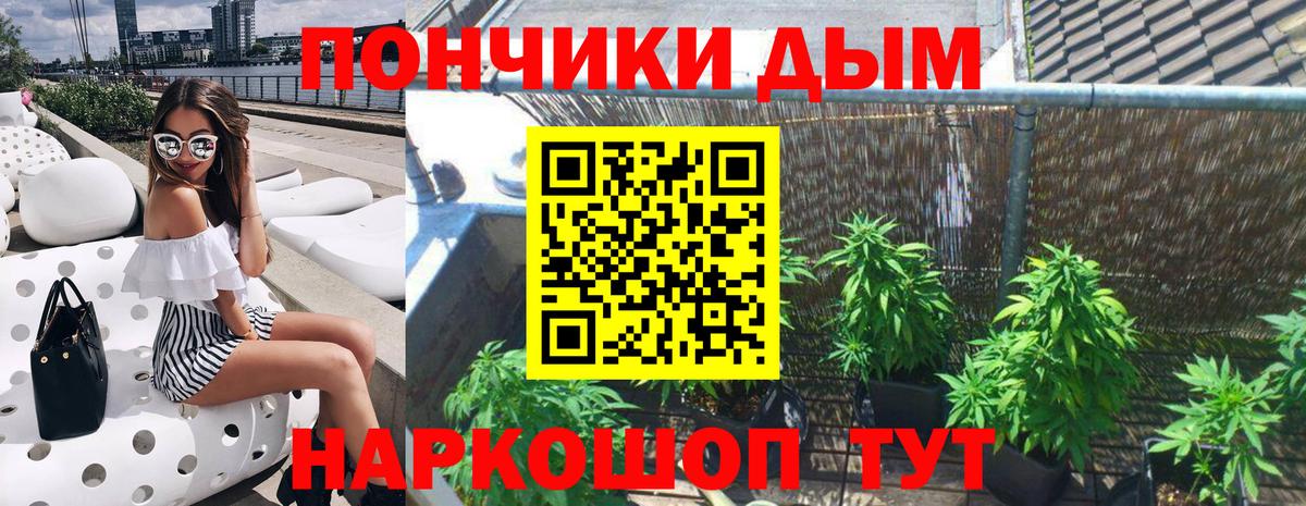 Бошки Шишки индика  Бошки Шишки план  Севастополь  Конопля конопля  Вход с VPN  Каннабис SATIVA & INDICA 